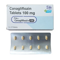 エルダー 100mg